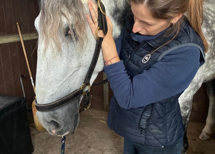 EQUI16