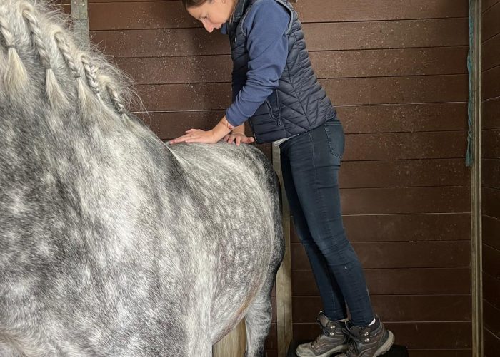 EQUI17