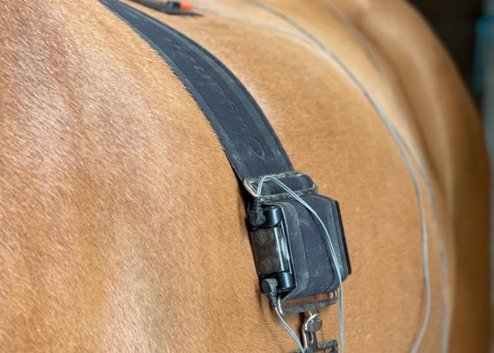 EQUI2