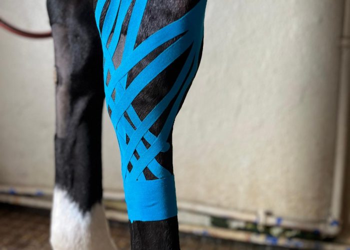 EQUI7