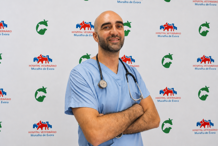 Pedro Diniz